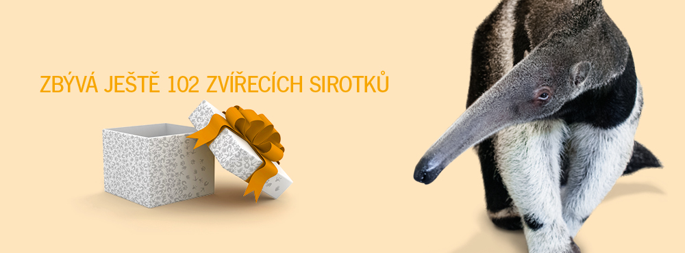 Adoptuj zvíře a můžeš letět, kam chceš